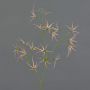 Rama artificial de Tweedia solanoides TOSAR, rosa-verde, 70 cm