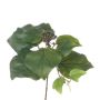 Rama de hiedra artificial MYKEL, verde, 25cm