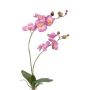 Orquídea Phalaenopsis sintética NAARA vara fijación, rosa, 75cm, Ø6-8cm
