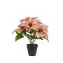 Estrella de Navidad artificial GRULEN en maceta decorativa, color melocotón, 40 cm
