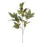 Rama de eucalipto artificial BELUNI, verde, 125 cm