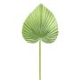 Palma de plástico Washingtonia KUNYK, verde, 70 cm