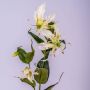Rama de gloriosa artificial FUJITA, crema-verde, 80cm, Ø15cm