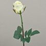 Rosa artificial SAPINA, crema-albaricoque, 60cm, Ø6cm