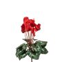 Cyclamen artificial VERIANA con varilla, rojo, 30 cm