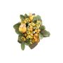 Corona de velas decorativa STELLAN con symphoricarpos, capullos, amarillo-verde, Ø10cm
