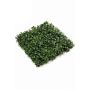 Seto de hiedra artificial ANKA para exterior, verde, 50x50cm