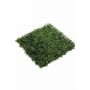 Estera boj sintética HEINZ resistencia intemperie, verde, 50x50cm