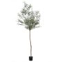 Olivo decorativo BLAZO con frutos, tronco natural, 210cm