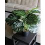 Filodendro artificial Monstera Deliciosa MUNIN, 55cm