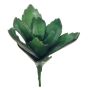 Kalanchoe thyrsiflora artificial MATTS, varilla, verde, 18cm