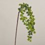 Rama de saúco artificial SWANTJE, frutos, verde, 40cm
