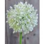 Allium artificial HELLA, con purpurina, crema-verde, 45cm