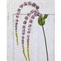Rama de amaranto artificial SENIO con flores, rosa viejo, 70cm