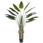 Heliconia artificial KASIYA, verde, 300cm