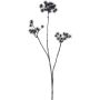 Rama artificial de zanahoria silvestre ZAHLERY, negra, 85 cm