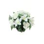 Composición de flores artificiales de Rosa, Orquídea cymbidium YAMMA, maceta decorativa, crema, 26cm, Ø27cm