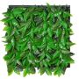 Seto decorativo / Estera de Photinia CHAVA, verde, 50x50cm