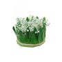 Composición de flores artificiales de Lirio de los valles IKENNA, blanco, 12cm, Ø16cm
