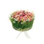 Composición de flores artificiales de margaritas, hierba HAULANI, blanco-rosa, 12cm, Ø20cm