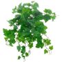 Cascabeles artificiales de parra IGNATIUS, Eco Collection, verde, 50 cm