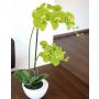 Orquídea Phalaenopsis artificial AURELIA, en maceta de cerámica, verde, 55cm