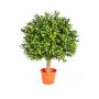 Árbol boj artificial TOM, tronco natural, verde, 35cm, Ø25cm