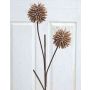 Allium artificial CHIRARA, marrón, 95cm, Ø10cm