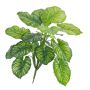 Calatea de imitación ULANI, en vara de fijación, verde, 45cm
