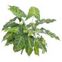 Syngonium sintético SERENO, en vara de fijación, verde, 45cm