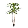 Cordiline artificial KAIA, tronco real, verde, 210cm