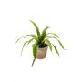 Helecho planta imitación FRANNY, maceta terracota, verde, 30cm, Ø30cm