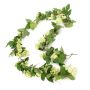 Guirnalda de lúpulo artificial KRATEOS, con flor, verde, 200cm