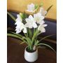Orquídea cymbidium artificial NALA en maceta de cerámica, crema, 50cm