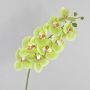 Rama de Phalaenopsis artificial OPHELIA, verde-fucsia, 100cm, Ø12cm