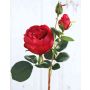 Rosa repollo artificial MIRETTA, rojo, 60cm, Ø3-9cm