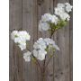 Rama textil de flor de cerezo MATSUDA con flores, crema-blanco, 80 cm