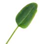 Hoja de platanera artificial YUMI, 95cm
