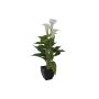 Calla plástica JAMILA en maceta decorativa, blanco, 40cm, 4x6cm