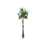Pachira artificial JAKINTZA, troncos artificiales, 160cm