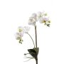 Orquídea Phalaenopsis sintética CANDIDA vara fijación, blanco, 65cm, Ø7-8cm