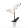 Orquídea Phalaenopsis sintética CANDIDA tiesto cerámica, blanco, 65cm, Ø7-8cm