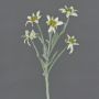 Ramillete de delweiss artificial SOPHIA, blanco, 40cm, Ø5-6cm