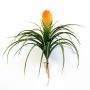 Vriesea artificial BENICIA, vara de fijación, amarillo-naranja, 30cm