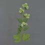 Rama de lúpulo artificial AXEL, con flor, verde, 65cm
