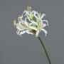 Amaryllis artificial MONJA, blanco, 70cm, Ø12cm
