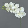 Orquídea Phalaenopsis artificial GALINA, crema, 45cm, Ø7-8cm