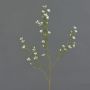 Rama de flor de cera artificial NIANG, crema, 80cm, Ø2-3cm