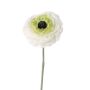 Ranúnculo artificial ALIMA, crema-verde, 35cm, Ø8cm