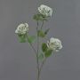 Rama de rosas sintéticas GITTI, verde claro-gris, 80cm, Ø10cm